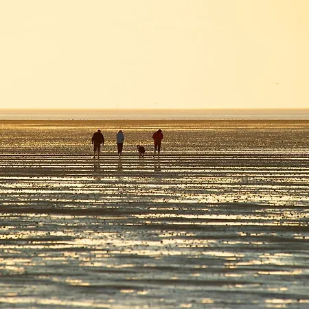 De Tuunkrueper Mit Deichblick Nordseeluft Von Der Terrasse Aus Apartment *
