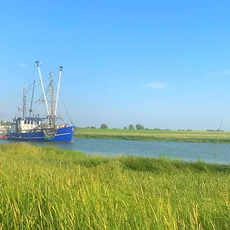 Διαμέρισμα De Tuunkrueper Mit Deichblick Nordseeluft Von Der Terrasse Aus *