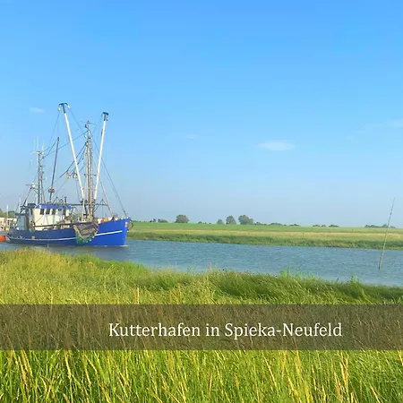 De Tuunkrueper Mit Deichblick Nordseeluft Von Der Terrasse Aus *