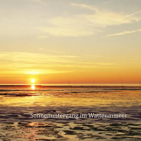 De Tuunkrueper Mit Deichblick Nordseeluft Von Der Terrasse Aus * Wurster Nordseekuste