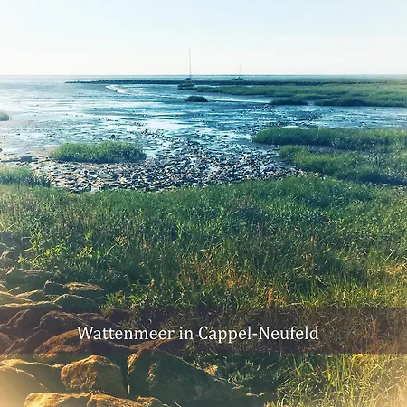 De Tuunkrueper Mit Deichblick Nordseeluft Von Der Terrasse Aus Διαμέρισμα