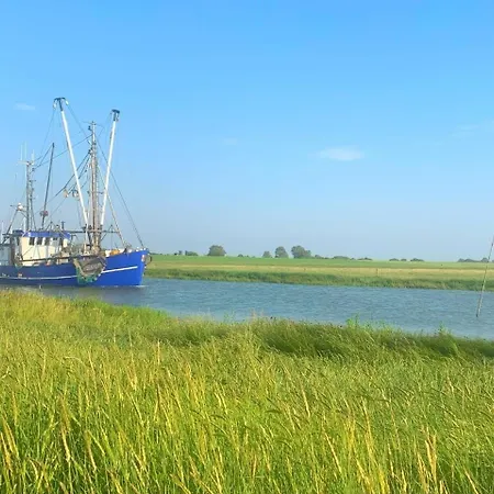 De Tuunkrueper Mit Deichblick Nordseeluft Von Der Terrasse Aus Wurster Nordseekuste