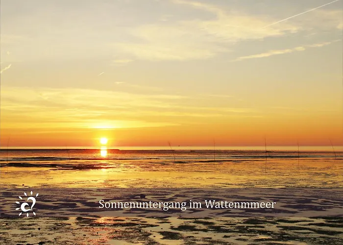 De Tuunkrueper Mit Deichblick Nordseeluft Von Der Terrasse Aus * Wurster Nordseeküste