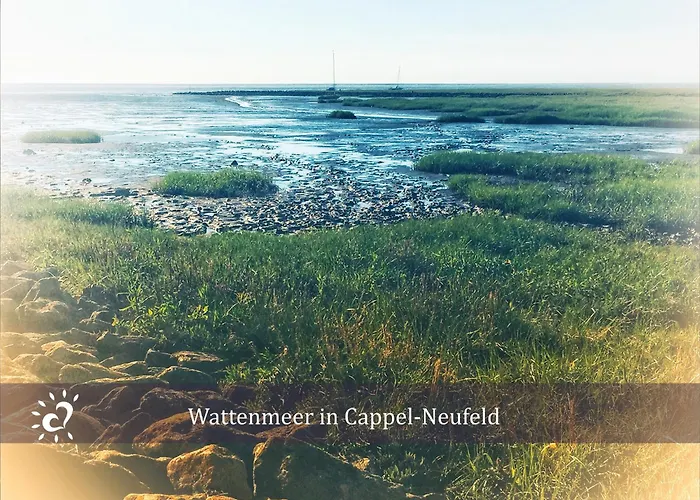 De Tuunkrueper Mit Deichblick Nordseeluft Von Der Terrasse Aus Apartman